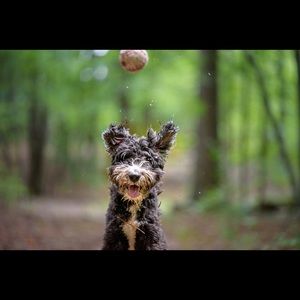 Meet your Posher, James